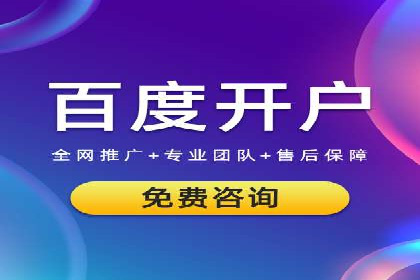 某电商平台的SEM广告投放策略及效果评估